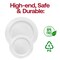 White with Silver Edge Rim Plastic Buffet Plates - 9" (120 Plates)